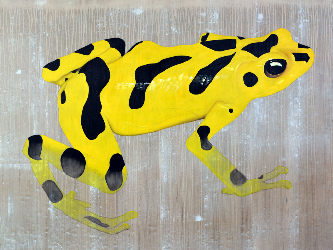 MONACO - CREM grenouille-dorée-du-panama-atelopus-menacé-extinction-protégé Thierry Bisch artiste peintre animaux tableau art  nature biodiversité conservation  